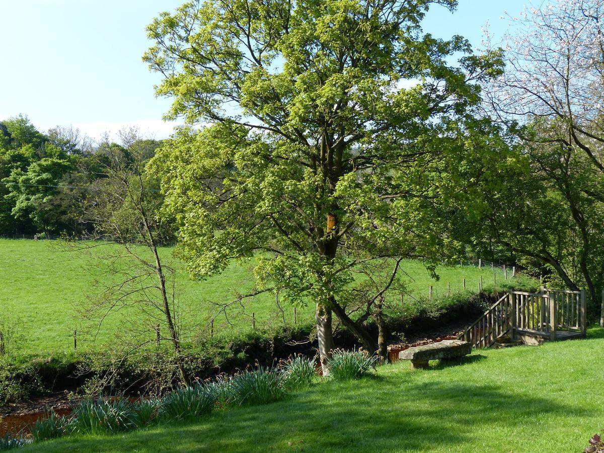 Millbrook Bed & Breakfast Penistone Exterior photo